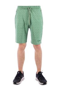 AEDEN SHORT VAUGHN L-GREEN