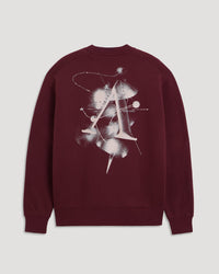 AEDEN SWEATER DANE SWEATER BORDEAUX