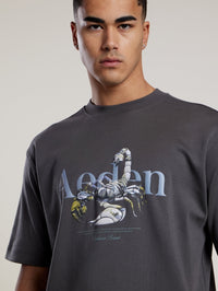 AEDEN T-SHIRT MAXTON TEE  D-GRIJS